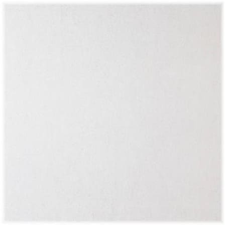 Usg Interiors USG Interiors 380 Stonehurst Ceiling Tile - Pack Of 8 131938
